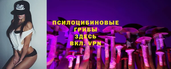 СК Абаза