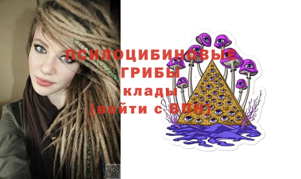 дурь Алзамай