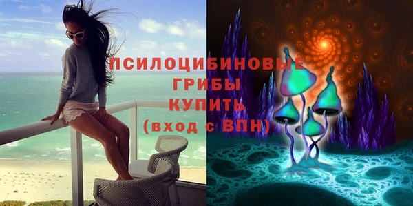 СК Надым