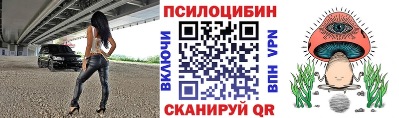 Псилоцибиновые грибы прущие грибы Ессентукская