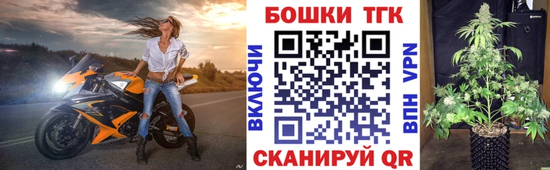 Каннабис индика  Ессентукская 